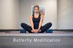 Butter fly modification